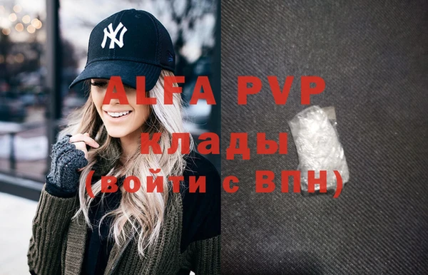 амф Ладушкин