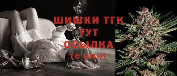 амф Ладушкин