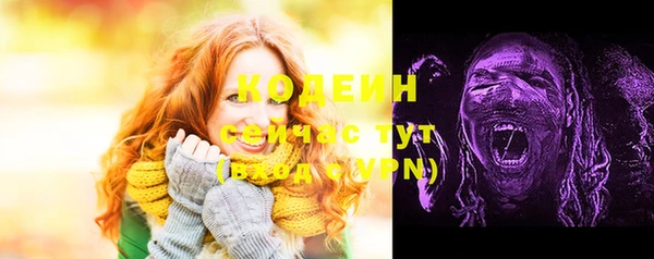 бошки Лабытнанги