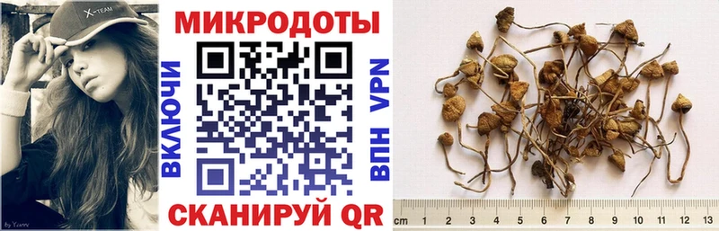 Купить где  Баксан  Галлюциногенные грибы Magic Shrooms 